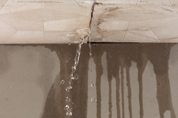 Professional Water Damage Repair technician working in Woronoco, MA
